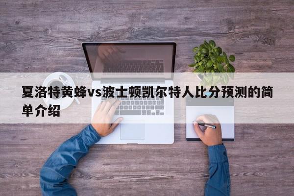 夏洛特黄蜂vs波士顿凯尔特人比分预测的简单介绍